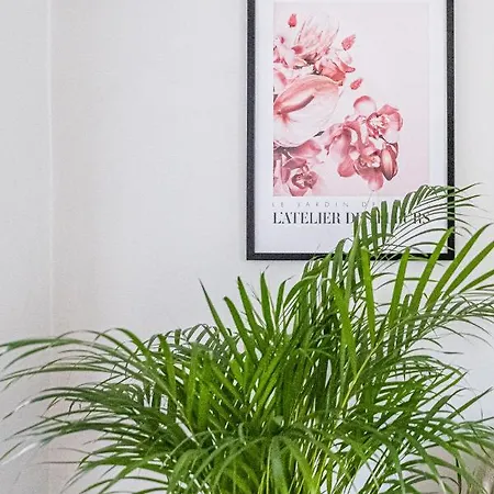 Daire Niceone Number 1 - W Samym Centrum!